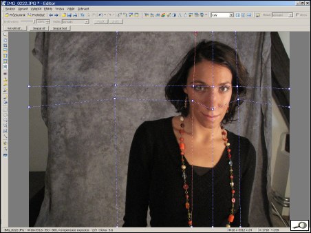 deformační mřížka