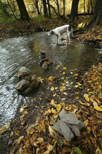 deformační mřížka