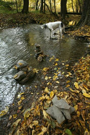 deformační mřížka